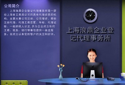 专业助力，合规前行 上海浪鼎企业登记代理事务所注册部服务全解析