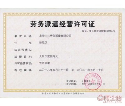 上海十安企业登记代理事务所 企业许可办理的专业伙伴