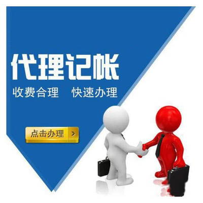 上海奉贤海湾旅游财务公司 专业财税服务助力企业高效运营